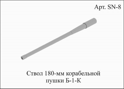SN 8.jpg