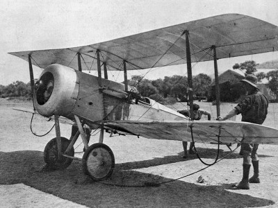 18718948.jpg