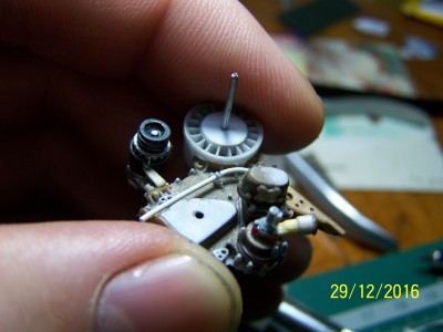 100_8024.JPG