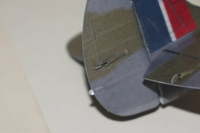 21534047.jpg