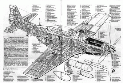 p51d-2 (1).gif
