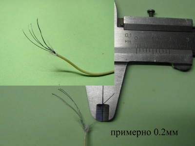 21508624.jpg